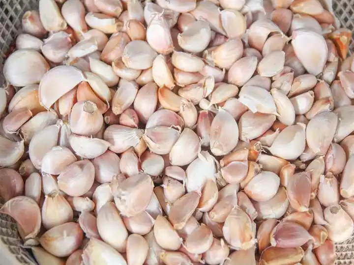 How to separate garlic cloves for planting?